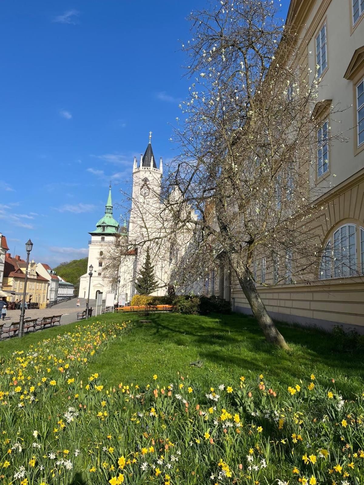 Vila Adéla - Teplice Exterior foto